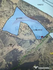 Teren 38,704mp Sirnea | 2.000 mp Intravilan | 36,704 Extr... 