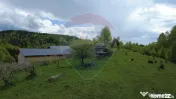Teren 38,704mp Sirnea | 2.000 mp Intravilan | 36,704 Extr... 