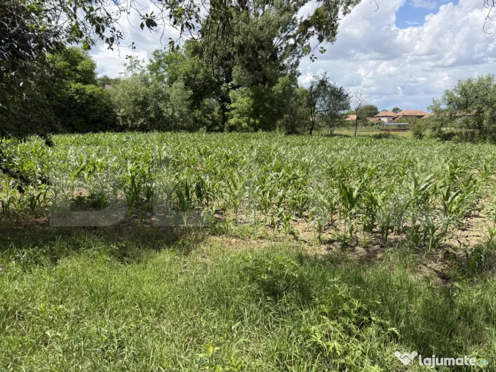 Teren intravilan in localitatea Aghires in suprafata de 3656