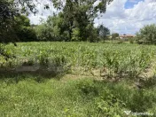 Teren intravilan in localitatea Aghires in suprafata de 3656