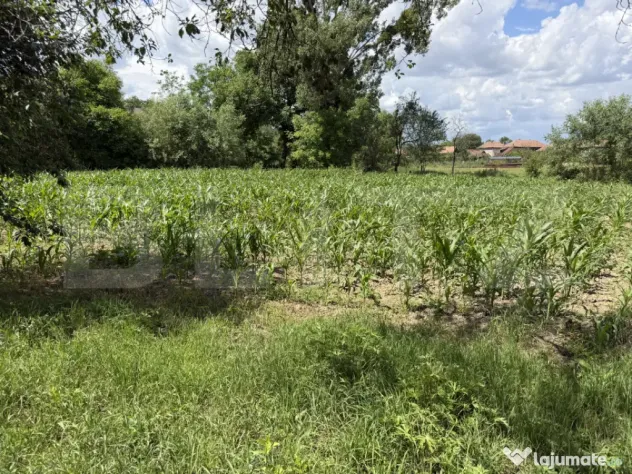Teren intravilan in localitatea Aghires in suprafata de 3656