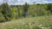 Teren 4048mp Campulung Moldovenesc, Strada Izvorul Alb, S... 