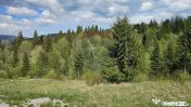 Teren 4048mp Campulung Moldovenesc, Strada Izvorul Alb, S...