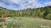 Teren 4048mp Campulung Moldovenesc, Strada Izvorul Alb, S... 