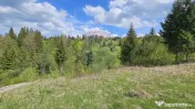Teren 4048mp Campulung Moldovenesc, Strada Izvorul Alb, S... 