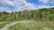 Teren 4048mp Campulung Moldovenesc, Strada Izvorul Alb, S... 