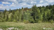 Teren 4048mp Campulung Moldovenesc, Strada Izvorul Alb, S... 