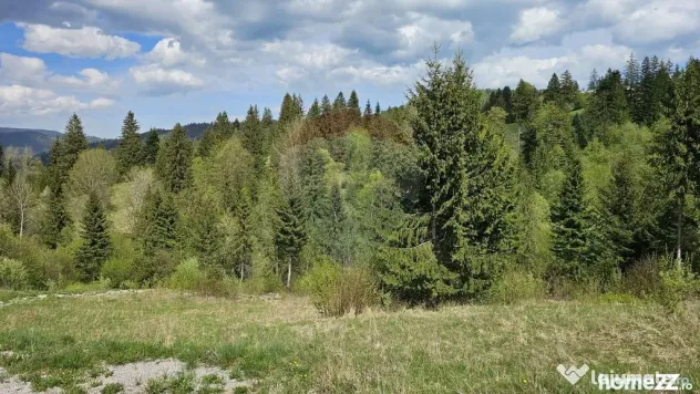 Teren 4048mp Campulung Moldovenesc, Strada Izvorul Alb, S...