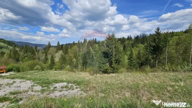 Teren 4048mp Campulung Moldovenesc, Strada Izvorul Alb, S...