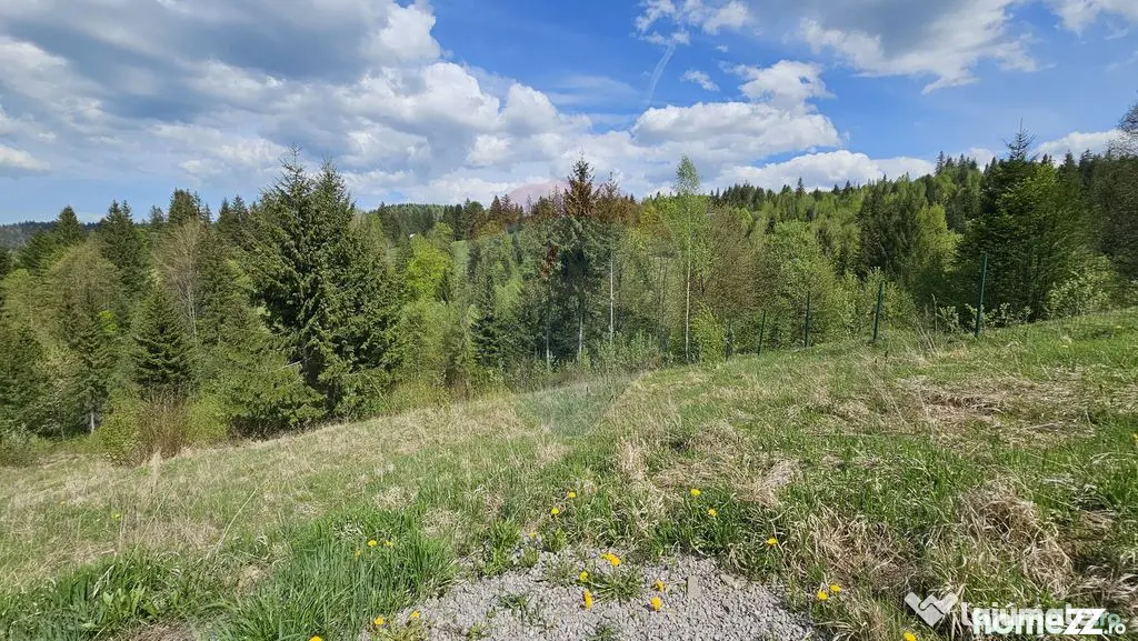 Teren 4048mp Campulung Moldovenesc, Strada Izvorul Alb, S...