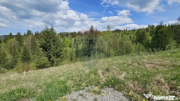 Teren 4048mp Campulung Moldovenesc, Strada Izvorul Alb, S...