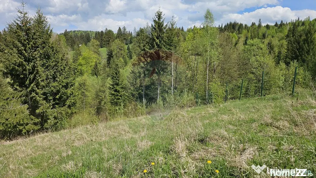 Teren 4048mp Campulung Moldovenesc, Strada Izvorul Alb, S...