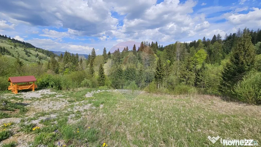 Teren 4048mp Campulung Moldovenesc, Strada Izvorul Alb, S...