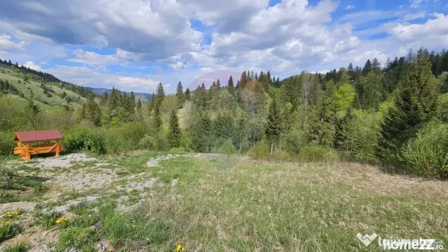 Teren 4048mp Campulung Moldovenesc, Strada Izvorul Alb, S...