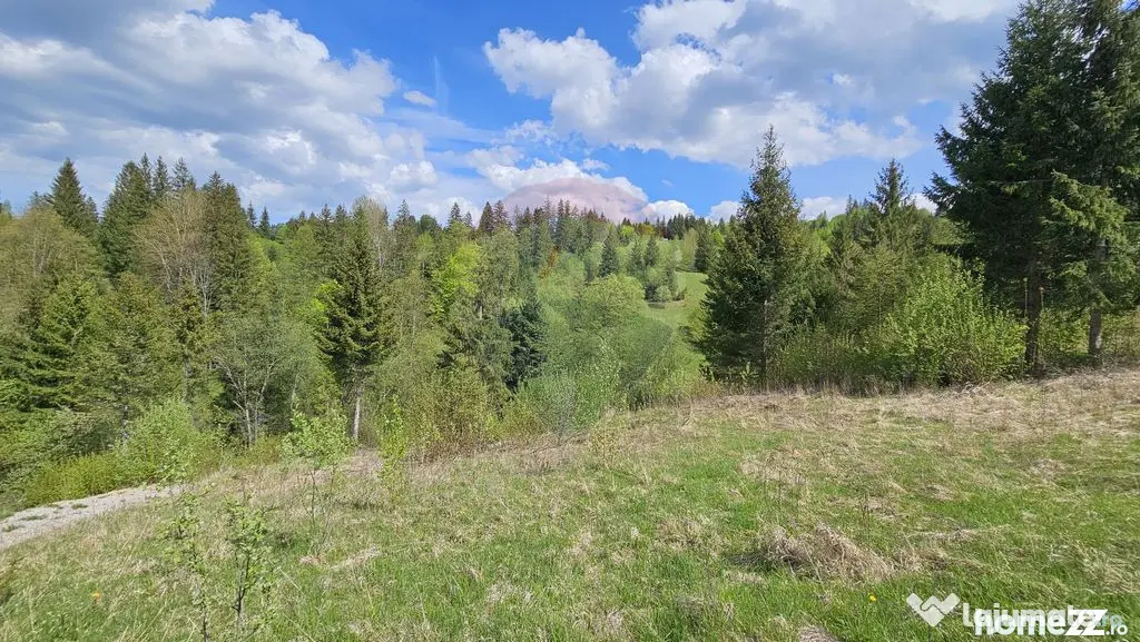 Teren 4048mp Campulung Moldovenesc, Strada Izvorul Alb, S...