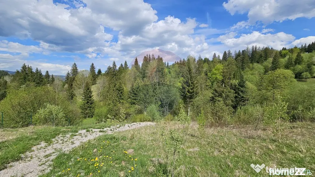 Teren 4048mp Campulung Moldovenesc, Strada Izvorul Alb, S...
