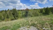 Teren 4048mp Campulung Moldovenesc, Strada Izvorul Alb, S... 
