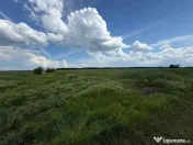 ???? 15-50 ha, parcelat, Mihailesti Giurgiu 