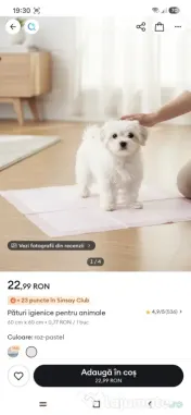 Se vinde set de 2 tarcuri plus 2 pachete covorase absorbante ptr. animale 
