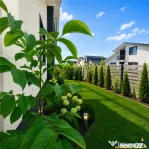 Casa la pret de apartament, curte individuala, terasa, toate