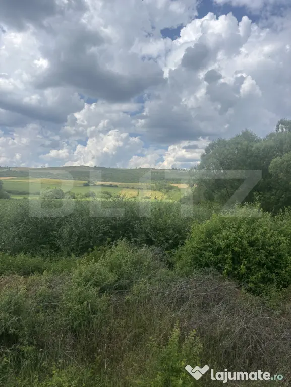 Teren extravilan, la intrare in Zauan