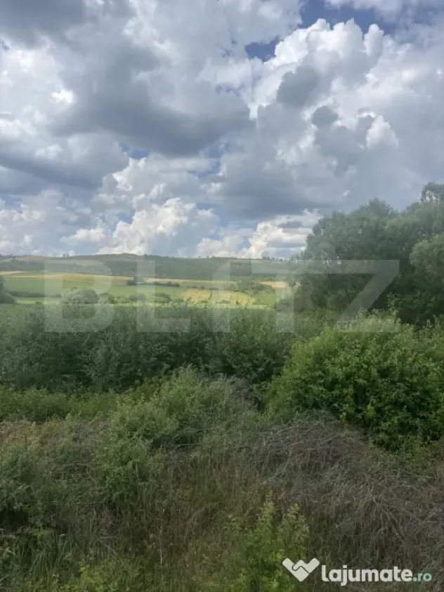Teren extravilan, la intrare in Zauan