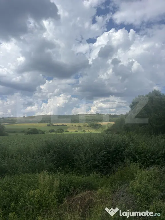 Teren extravilan, la intrare in Zauan