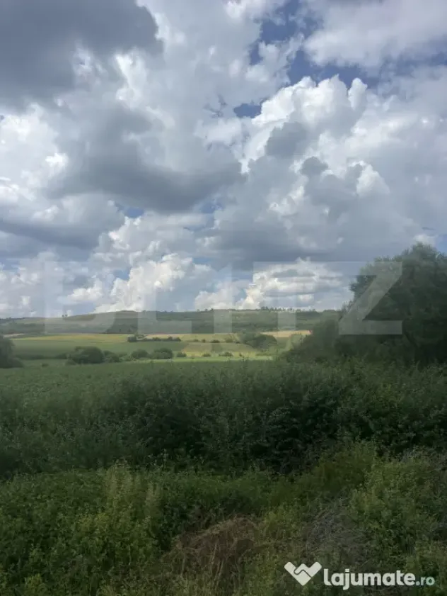 Teren extravilan, la intrare in Zauan