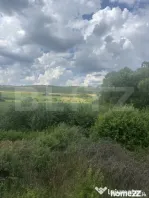 Teren extravilan, la intrare in Zauan