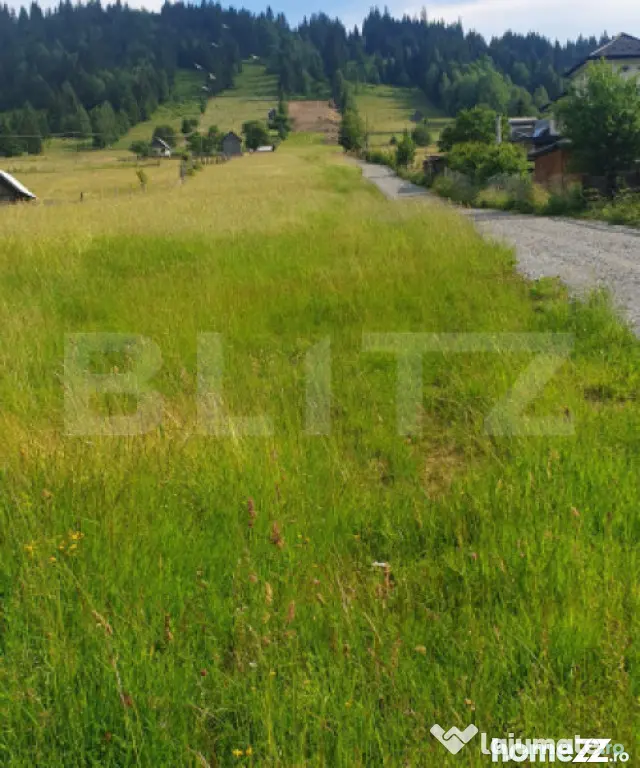Teren 9.755 mp, intravilan, parcelabil, zona Vatra Dornei