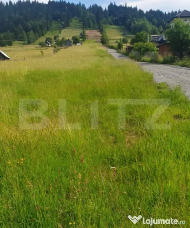 Teren 9.755 mp, intravilan, parcelabil, zona Vatra Dornei