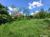 TEREN INTRAVILAN, 602 MP, REDIU 