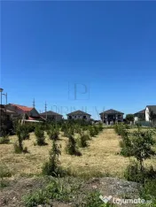 Teren- Mosnita Noua- TOATE UTILITATILE 