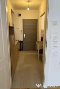 Apartament 1 camera-Renovat-Balcescu