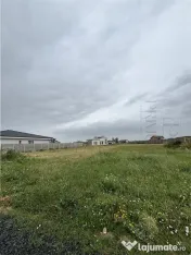 Doua Terenuri- MOSNITA NOUA- situate in spate la LIDL 