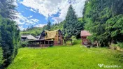 Cabană – Mureș – Sălard – Zona Pensiunea Denisa 