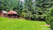 Cabană – Mureș – Sălard – Zona Pensiunea Denisa 
