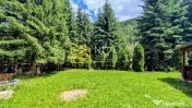 Cabană – Mureș – Sălard – Zona Pensiunea Denisa 