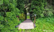 Cabană – Mureș – Sălard – Zona Pensiunea Denisa 