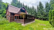 Cabană – Mureș – Sălard – Zona Pensiunea Denisa 