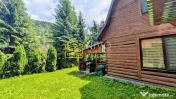 Cabană – Mureș – Sălard – Zona Pensiunea Denisa 