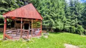 Cabană – Mureș – Sălard – Zona Pensiunea Denisa 