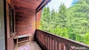 Cabană – Mureș – Sălard – Zona Pensiunea Denisa 