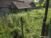 Casa 3 camere + dependinte si teren 3900mp in Dumbravioara l 