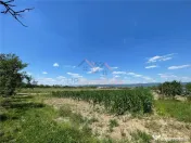 CASA LA TARA | 6770MP TEREN | JOSANI | BIHOR | 