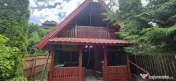 Cabanuta de vanzare in Busteni, Oportunitate 