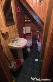 Cabanuta de vanzare in Busteni, Oportunitate 