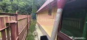 Cabanuta de vanzare in Busteni, Oportunitate 