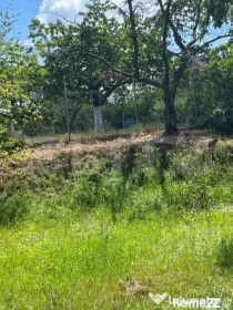 Vand teren in zona de dealuri Oradea