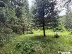 Teren intravilan de vânzare-COMANDAU /COVASNA-2500mp